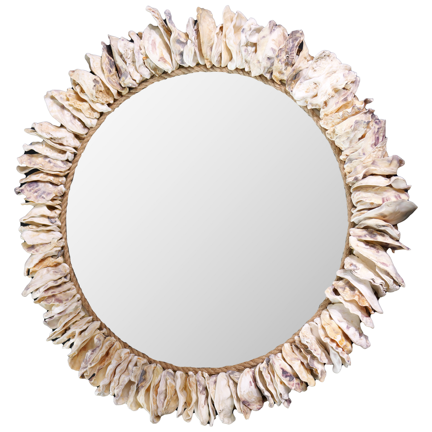 Sunburst Oyster Seashell Mirror