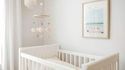 Seashell Decor for Every Home
