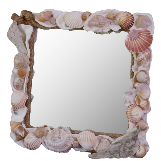 Seashell Treasure Mirror