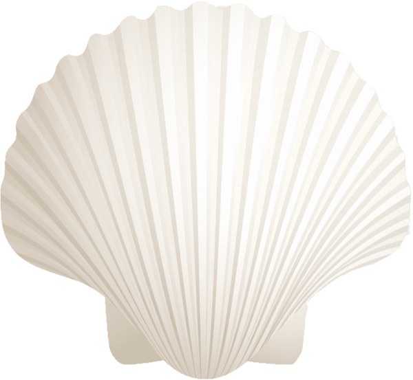 The Bay of Seashells